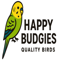 Happy Budgies